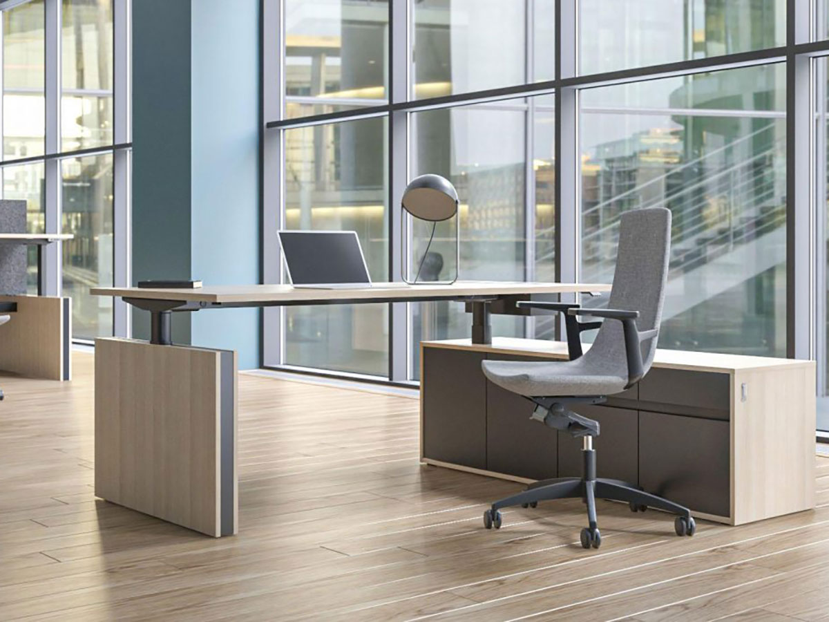 Motion Executive Collection