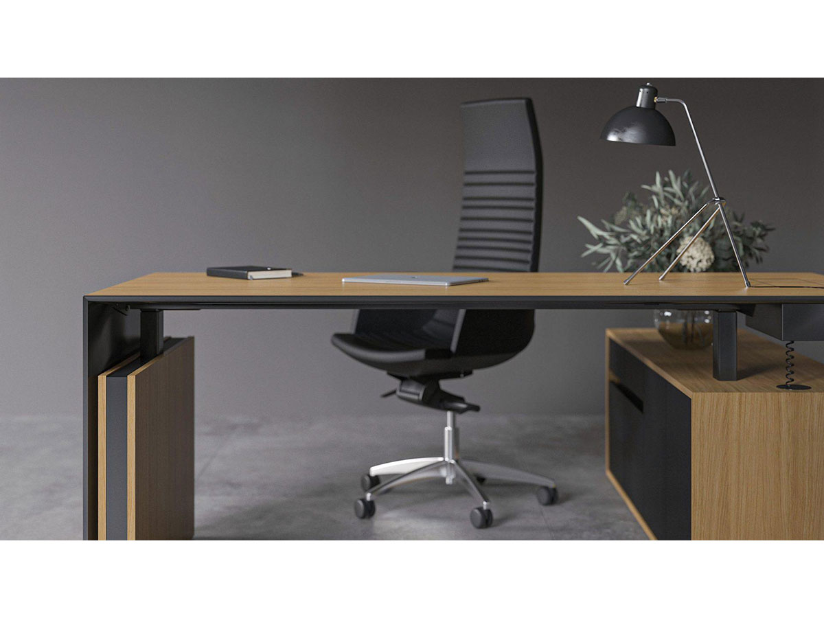 Motion Executive Collection - Image 4