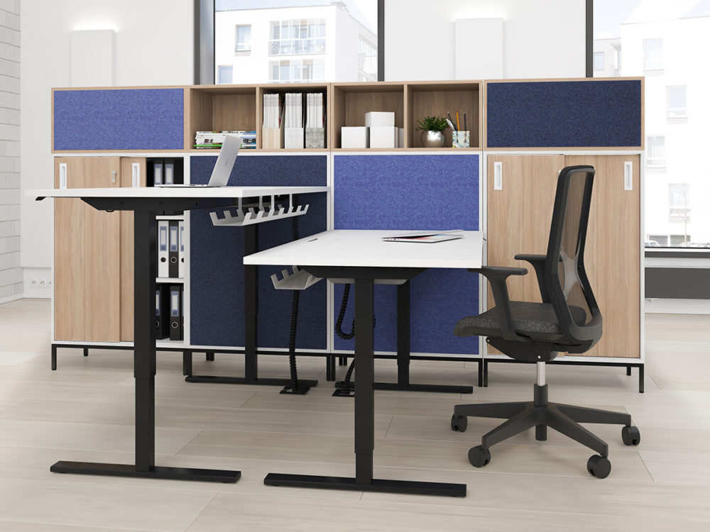 Choice Collection - Image 6