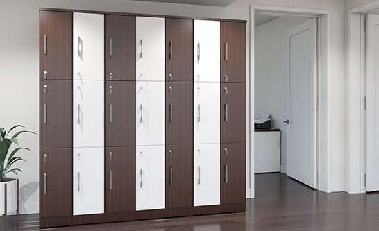 Intelligent Locker Collection - Image 8