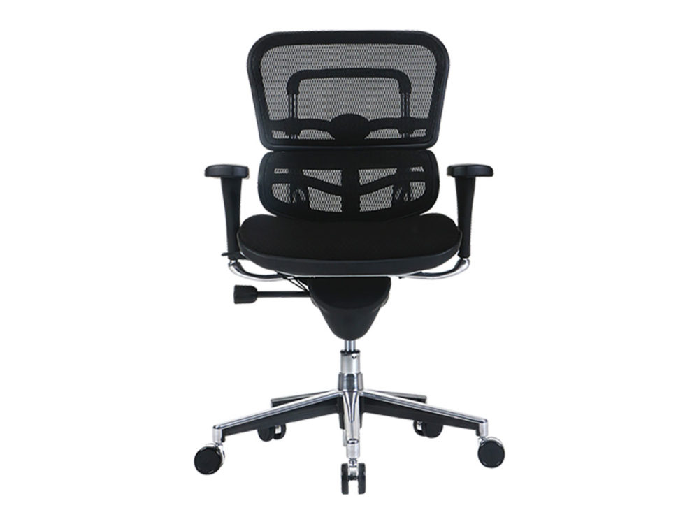 Ergohuman Seat Low Collection - Image 5