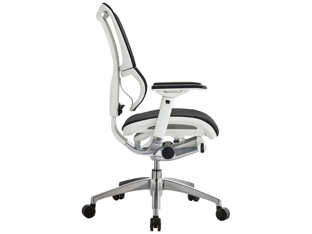 iOO Collection - Image 7