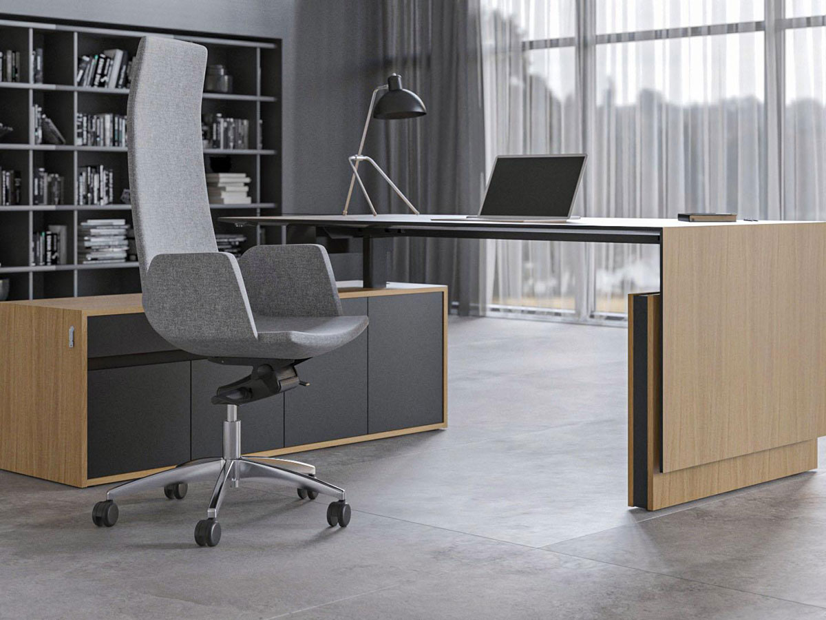 Motion Executive Collection - Image 3