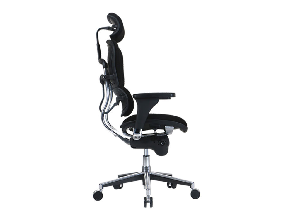 Ergohuman Seat Hi Collection - Image 3