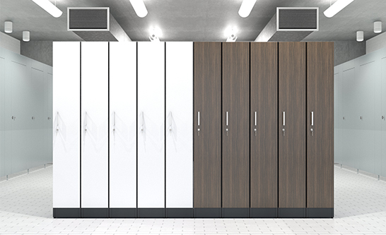 Intelligent Locker Collection