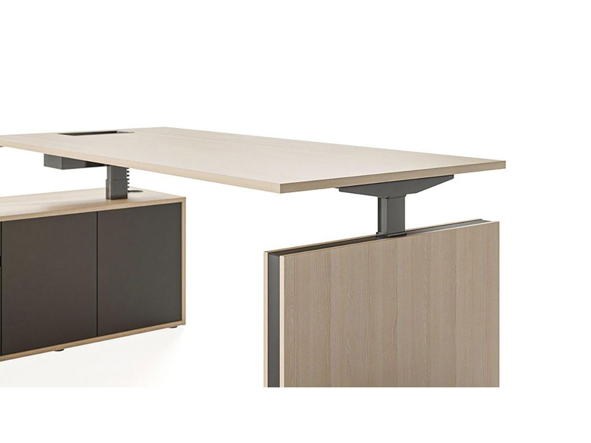 Motion Executive Collection - Image 8
