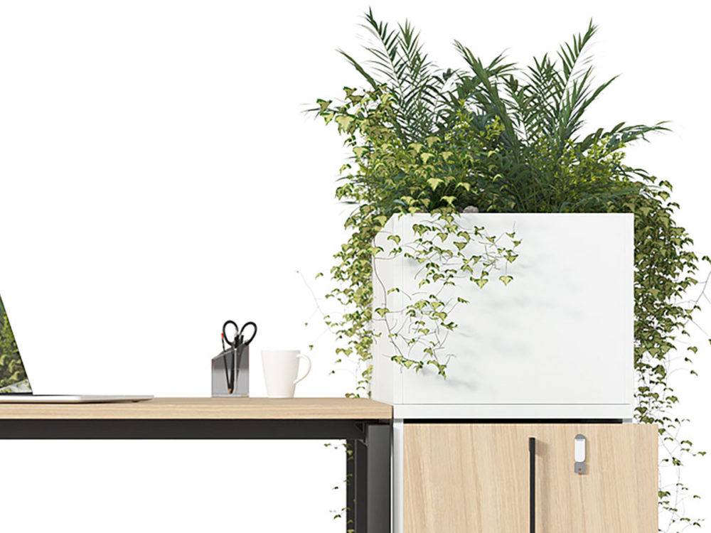 Boxi Collection - Image 8