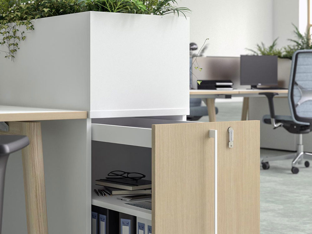 Boxi Collection - Image 9