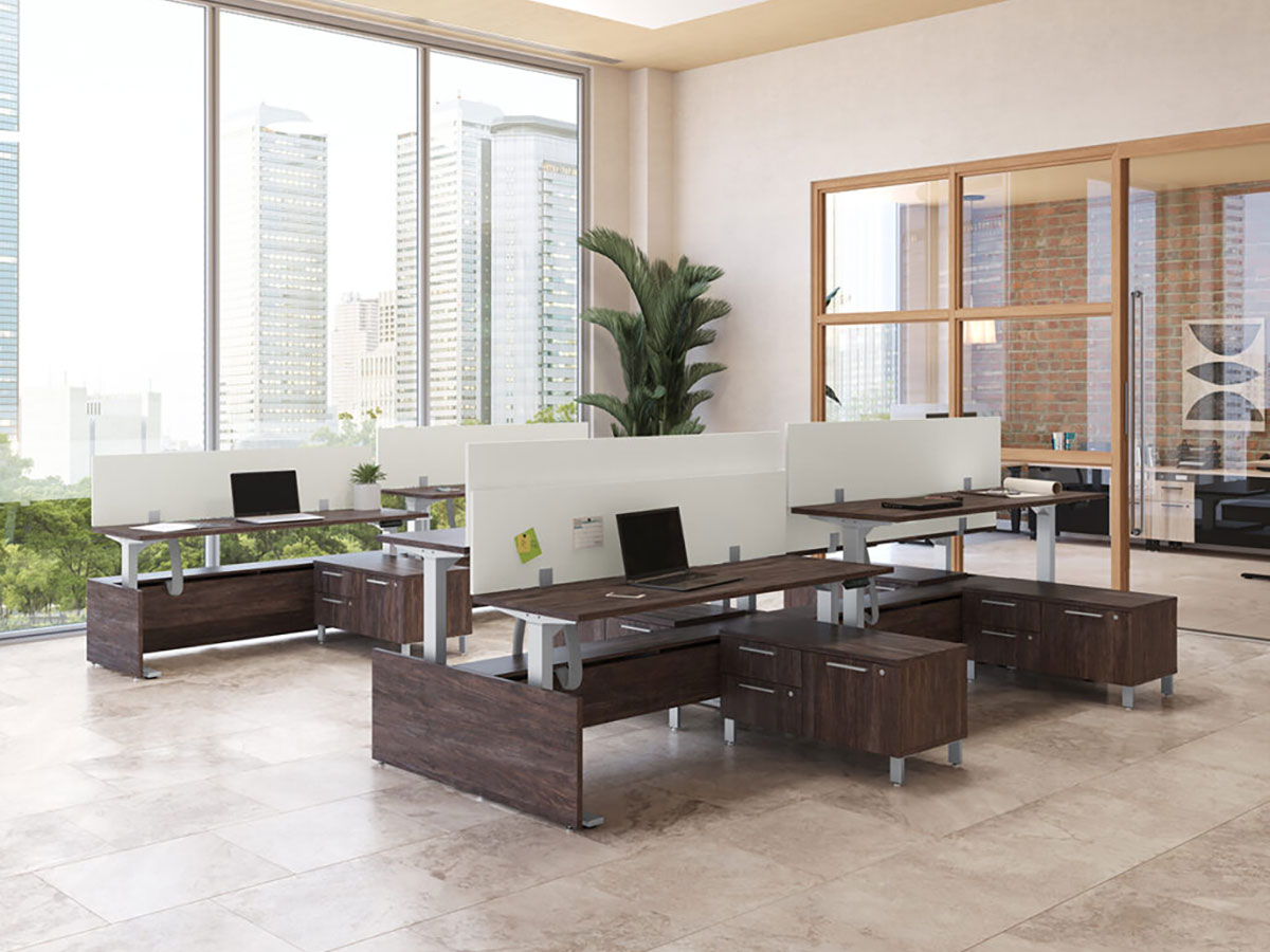 Elevation Collection - Image 7