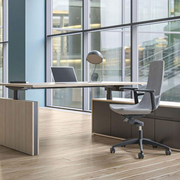Motion Executive Collection