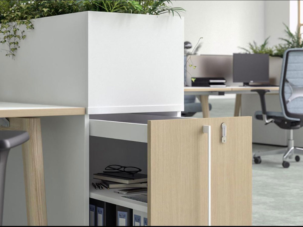 Boxi Collection - Image 3
